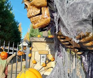 U Łukasza z Pawłowa hasło cukierek albo psikus nabiera innego wymiaru. Najbardziej halloweenowy dom świętokrzyskiego