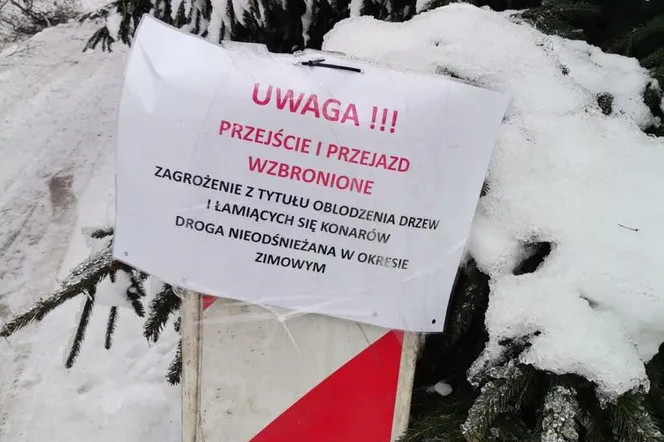 Trudne warunki na Dolnym Śląsku. Te drogi i lasy zostały zamknięte