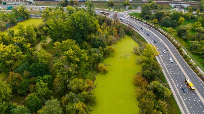 Port Praski - widok z drona, wrzesień 2024