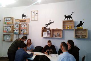 Katowice: Pierwsza na Śląsku Kocia Kawiarnia działa już trzy tygodnie! [ZDJĘCIA]