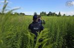 Wciąż trwają poszukiwania 89-letniego Wiktora Graca. Policja ponownie apeluje o pomoc