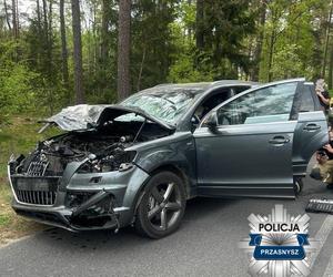 Kierowca audi potrącił łosia. Pechowe zderzenie zakończyło się śmiercią