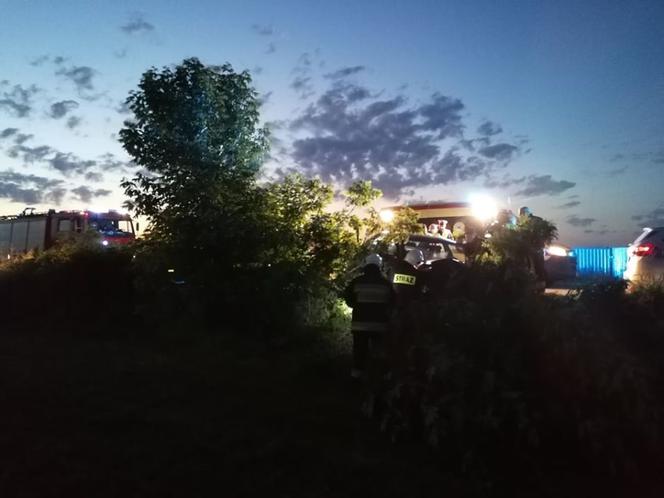Pies wyskoczył wprost pod koła BMW. Matka z dziećmi zjechała do rowu [ZDJĘCIA]
