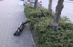 Dzieci miały wypadek na hulajnodze elektrycznej. Policjanci sprawdzają, czy były pijane