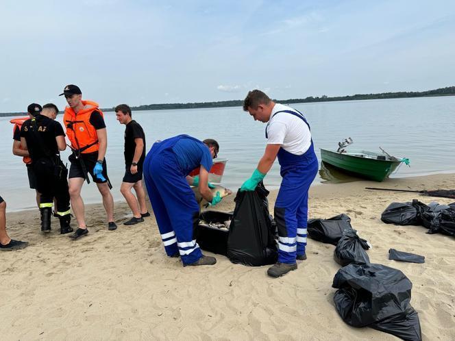 Przedłużono zakaz korzystania z jeziora Dzierżno Duże. Odłowiono już ponad 111 ton śniętych ryb