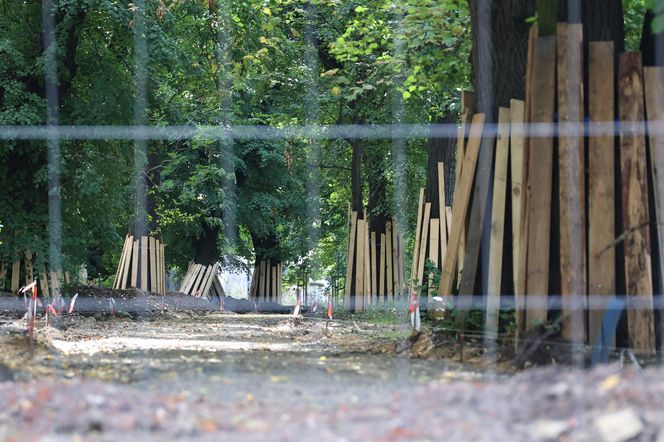 Rewitalizacja parku Bronowickiego w lublinie - postęp prac na koniec lipca 2025