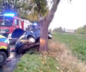 Lubieszewo: Wypadek osobówki. Kierowca trafił do szpitala [ZDJĘCIA]