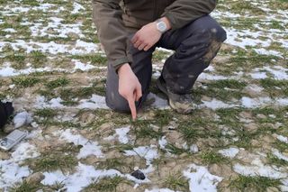 Na terenie Lubelszczyzny znaleziono meteoryt