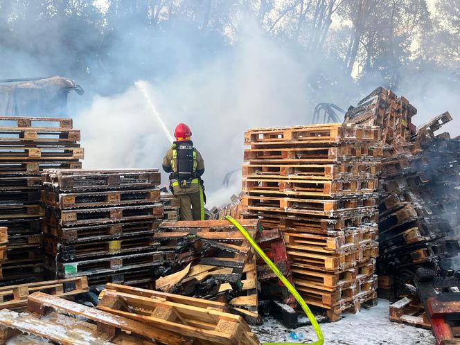 Łódź. Ogromny pożar ciężarówek i składowiska palet. Dramat na ul. Starorudzkiej [ZDJĘCIA].