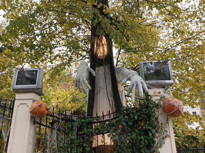 Willa na Jaśkowej Dolinie znów ozdobiona. Tym razem przechodniów zaskakują halloweenowe straszydła!