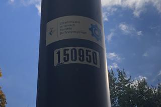 Jesień w Parku Praskim