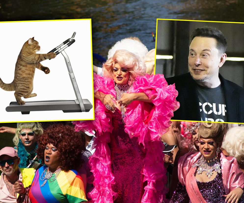 Elon Musk wkrótce to ujawni? Koty na bieżni i drag queen w Ekwadorze