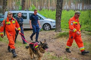 Poszukiwania zaginionych w Polsce. Policja upraszcza procedury. Co się zmieni?