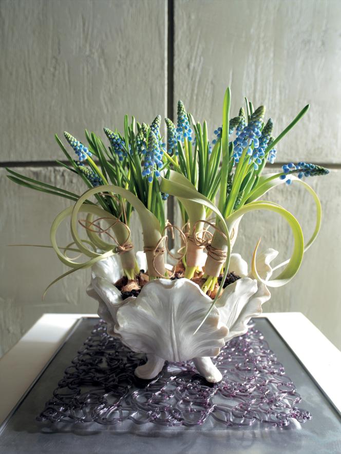 Wiosenny bukiet kwiatów: szafirki