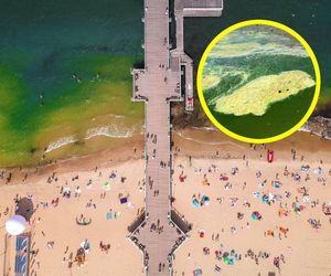 Sinice nad Bałtykiem. Inspektorzy zamknęli kolejne sześć kąpielisk 