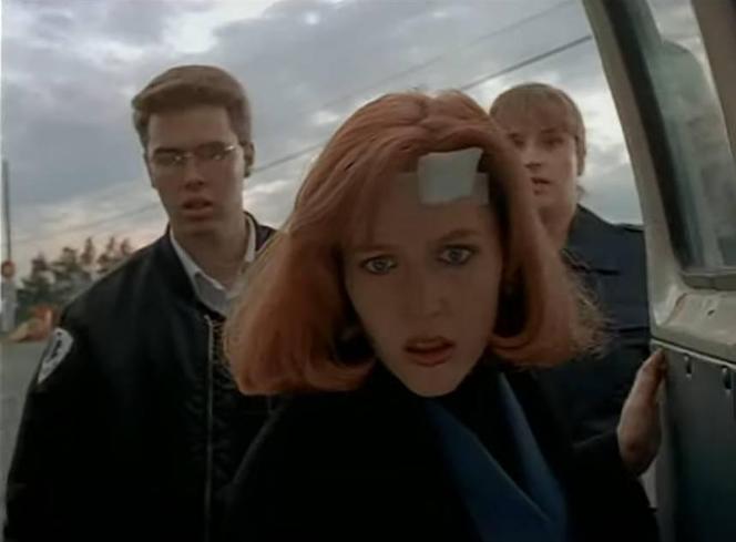 Gillian Anderson