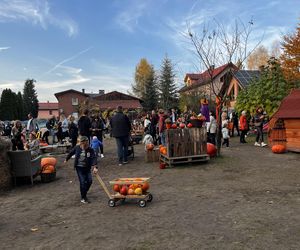 Zagroda 3 siostry w Kamieniu przyciągnęła całe rodziny w ciepły jesienny weekend ZDJĘCIA