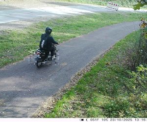 Świadomie łamali przepisy i liczyli, że się nie wyda