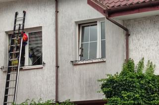 Na ratunek kota było za późno