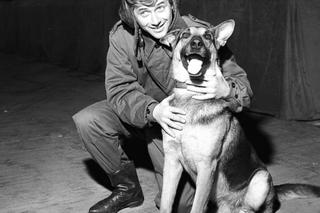 QUIZ Superbohaterowie PRL