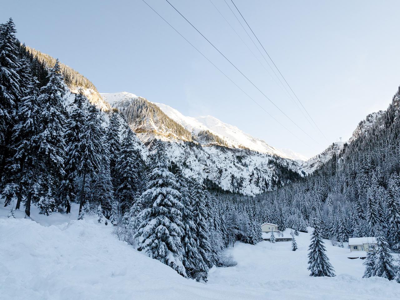 Czesi budują NIEBEZPIECZNĄ atrakcję turystyczną przy granicy z Polską. Tylko dla odważnych! [ZDJĘCIA]