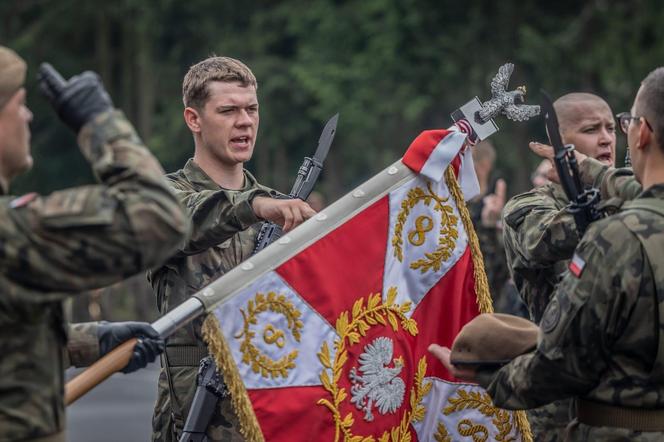 Przysięga WOT w Grudziądzu