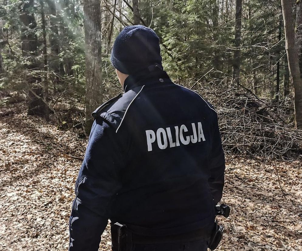 Psy uwiązane stalowymi linkami w lesie. Jeden nie przeżył. Makabryczne odkrycie w lesie pod Janowcem