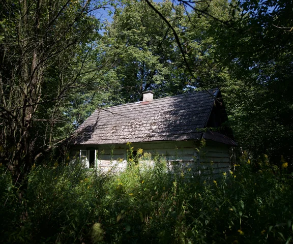 Remont starej leśnej chaty na Lubelszczyźnie. Jak powstało Sielsko?