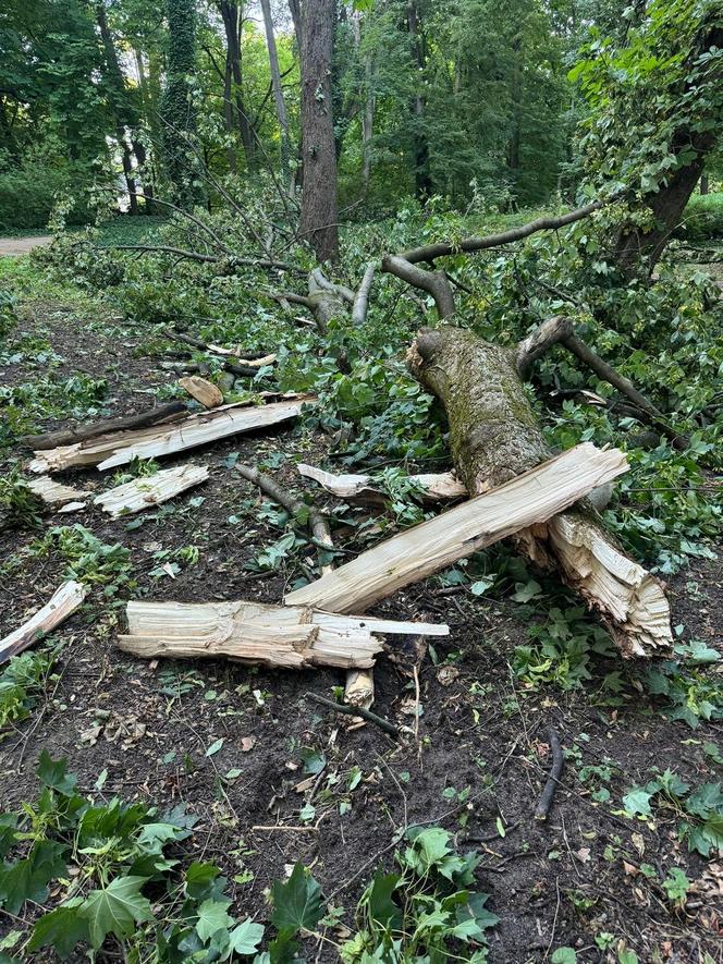 Łazienki Królewskie jednak zamknięte do odwołania