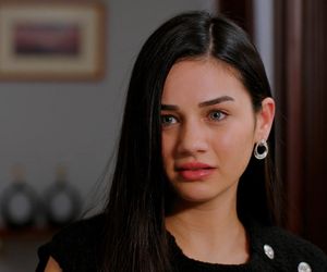 Miłość i nadzieja odc. 282. Cavidan, Bahar