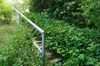 Zerwany most nad Narwią. Zobacz krajobraz Narwiańskiego Parku Narodowego