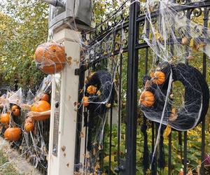 Willa na Jaśkowej Dolinie znów ozdobiona. Tym razem przechodniów zaskakują halloweenowe straszydła!