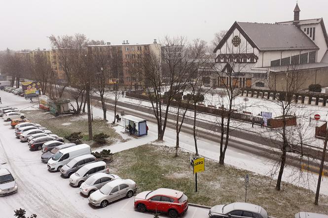 Za oknami w Starachowicach biało. Czy zima rozgości się na dobre?