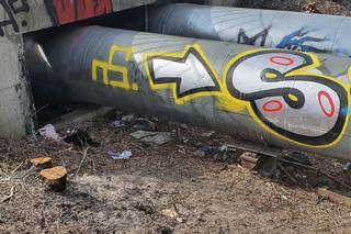 Gigantyczny pożar przy Olszynce Grochowskiej. Strażacy zdecydowali się na szokujący krok!