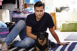 Barwy szczęścia, odc. 2767: Damian (Michał Lesień - Głowacki)