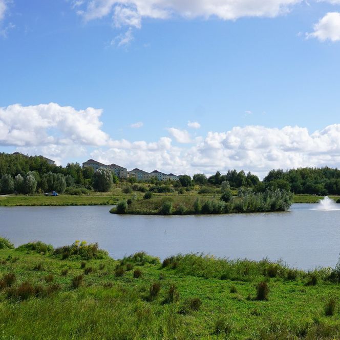 Park Południowy w Gdańsku