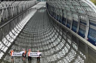 Protest Ostaniego Pokolenia na zalanej S8 w Warszawie
