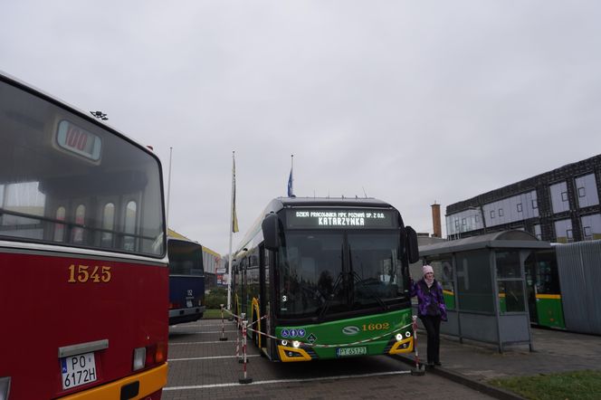 Katarzynki 2024 - wystawa autobusów przy Galerii Panorama