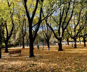 Jesień w Parku Praskim