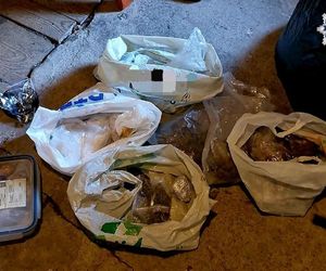 Akcja policji w Katowicach. 26-latek na strychu miał magazyn z narkotykami 