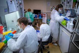 Polska sama wyprodukuje testy na koronawirusa! To sukces młodych badaczy 
