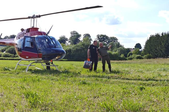 Lot helikopterem - akcja charytatywna 