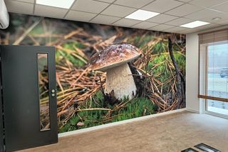 Nadleśnictwo Potrzebowice Puszcza Notecka