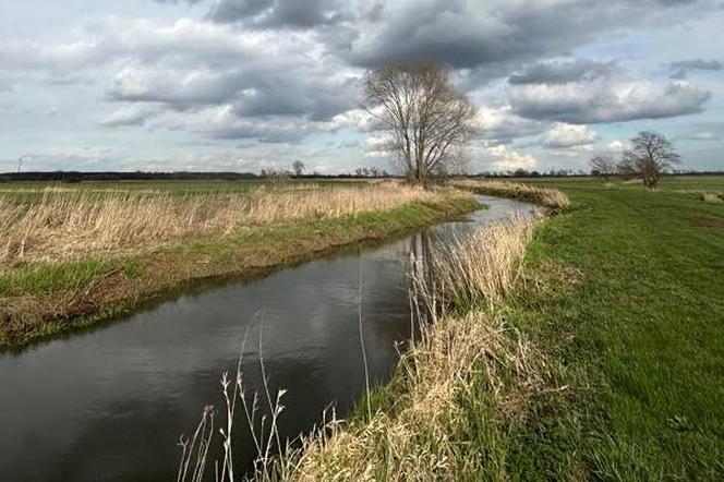 Czy rzeki pod Wrocławiem wyleją? Alert IMGW