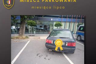 Miszczowie parkowania w Gliwicach 