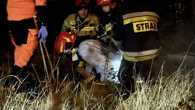 Makabra w Warszawie. Z kanału wyłowili ludzkie zwłoki