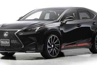 Lexus NX by Wald International