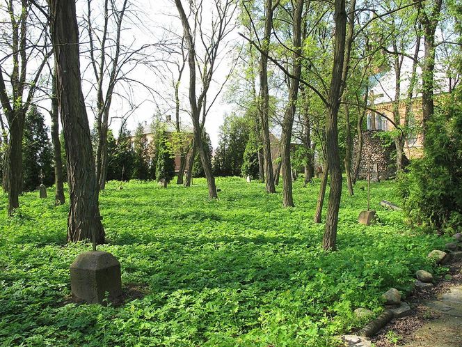 Płonka Kościelna na Podlasiu