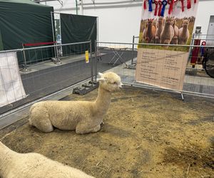 ZooPark w Lublinie. Dzień drugi