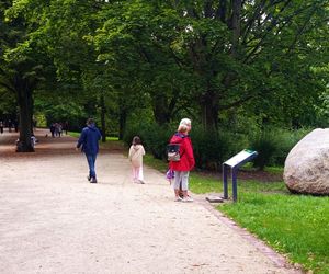 Usterki na Alei Fałata